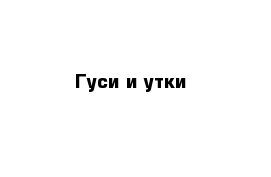 Гуси и утки